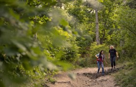 Wandern im Wienerwald, © Wienerwald / Studio Kerschbaum