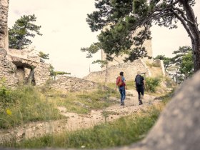 Wandern im Wienerwald, © Wienerwald / Studio Kerschbaum