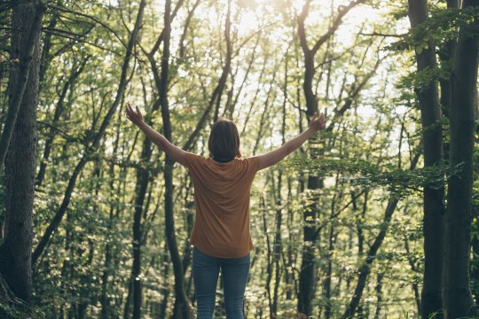 Achtsamskeitsübung im Wienerwald, © Niederösterreich Werbung/ Ian Ehm