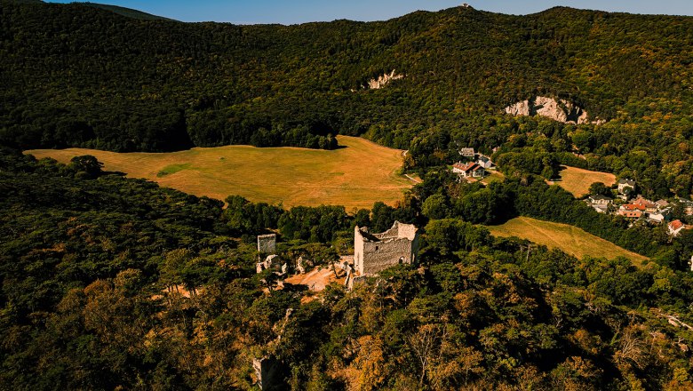 Bürgruine Mödling, © Sascha Schernthaner