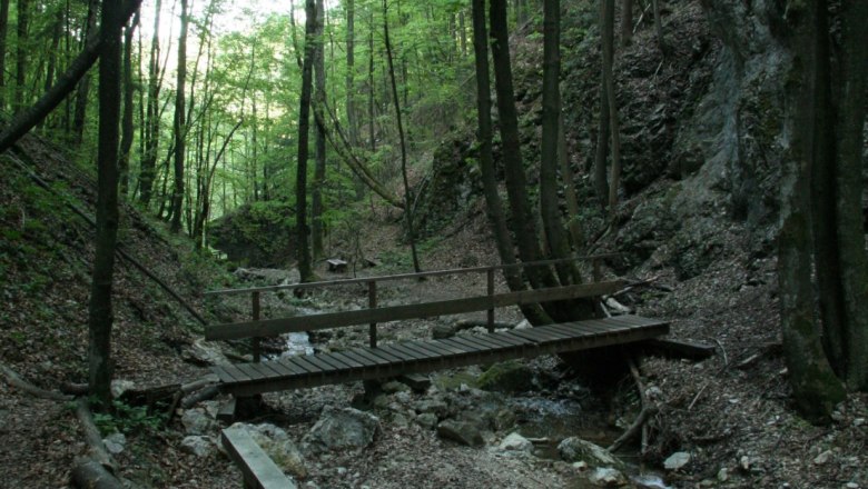 Steinwandklamm, © Steinwandklamm