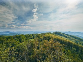 Schöpfl und Gföhlberg, © Wienerwald