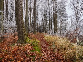 Troppberg, © Wienerwlad Tourismus GmbH / Andreas Hofer