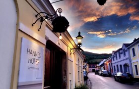 Abendstimmung beim Heurigen, © Hannes Hofer