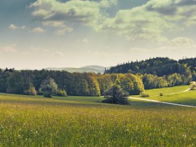 Panoramaweg Troppberg, © Wienerwald Tourismus GmbH / Andreas Hofer