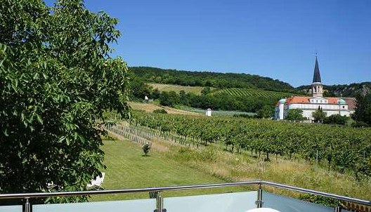 blick-zur-kirche, © Fotocredit: Weinbau Straitz