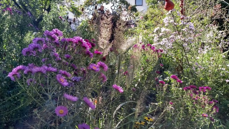 Herbstlicher Zauber mit Blüten und Gräser, © Christina Wiesmann