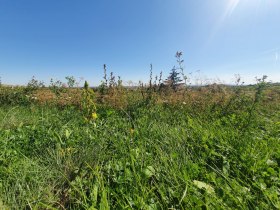 Landschaft, © Wienerwald