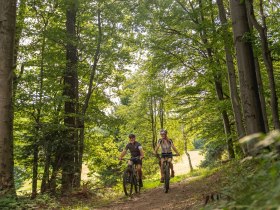 MTB Wienerwald, © Wienerwald Tourismus GmbH / Christoph Kerschbaum