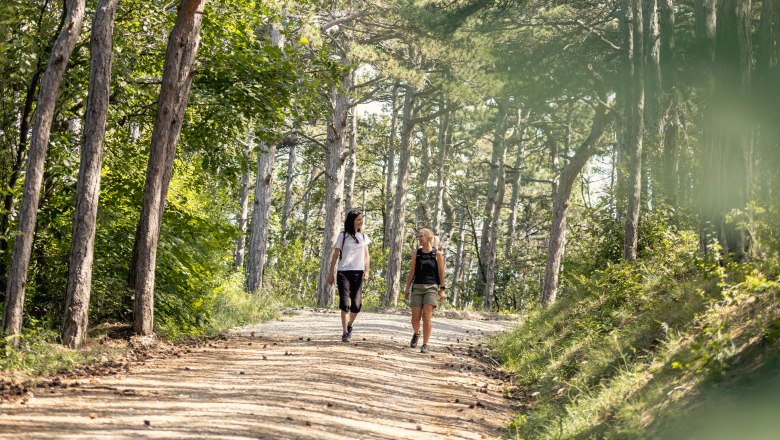 Wandern am Anninger , © Wienerwald Tourismus/Studio Kerschbaum