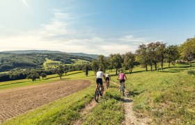 Wiental-Elsbeere-Genuss-Tour _ MTB Trekking durch den westlichen Wienerwald, © Christoph Kerschbaum_www.ishottpeople.at