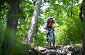 MTB Wienerwald, © Wienerwald Tourismus GmbH / Markus Frühmann