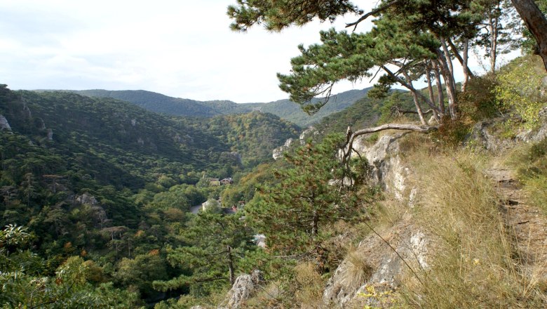 Naturpark Föhrenberge, © Naturpark Föhrenberge