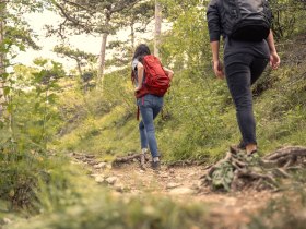 Wandern im Wienerwald, © Wienerwald / Studio Kerschbaum