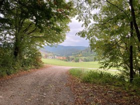 Blick ins Niemtal, © Wienerwald