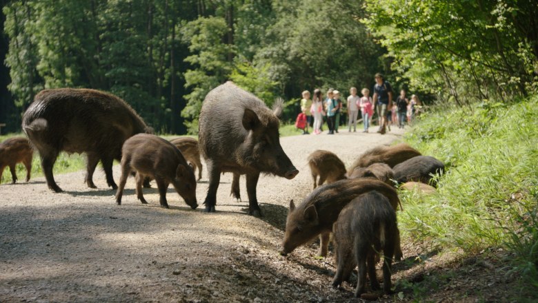 Naturpark Sparbach, © Naturpark Sparbach/Stütz