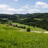 Wald und Wiese im Gutental, © Waldhof Grasel