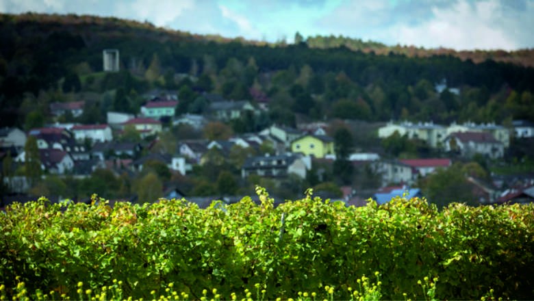 Lindabrunn, © Marktgemeinde Enzesfeld-Lindabrunn